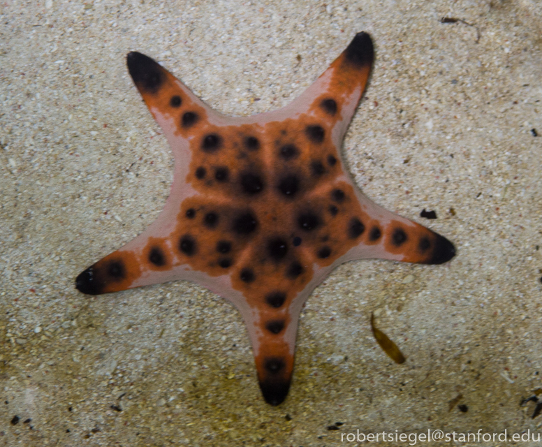 California Academy of Science 2016